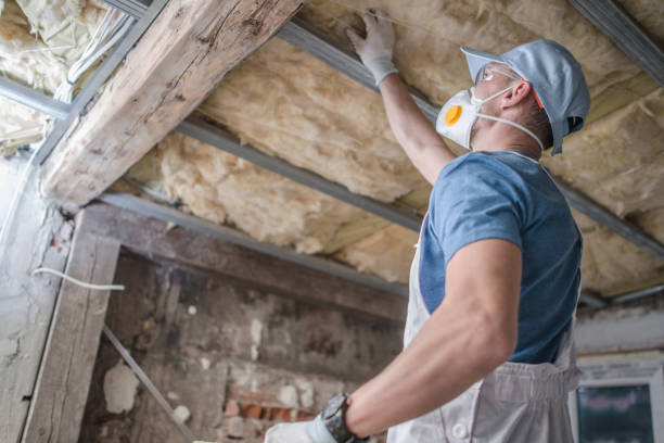Best Geographic-Specific Insulation Services in St John, KS